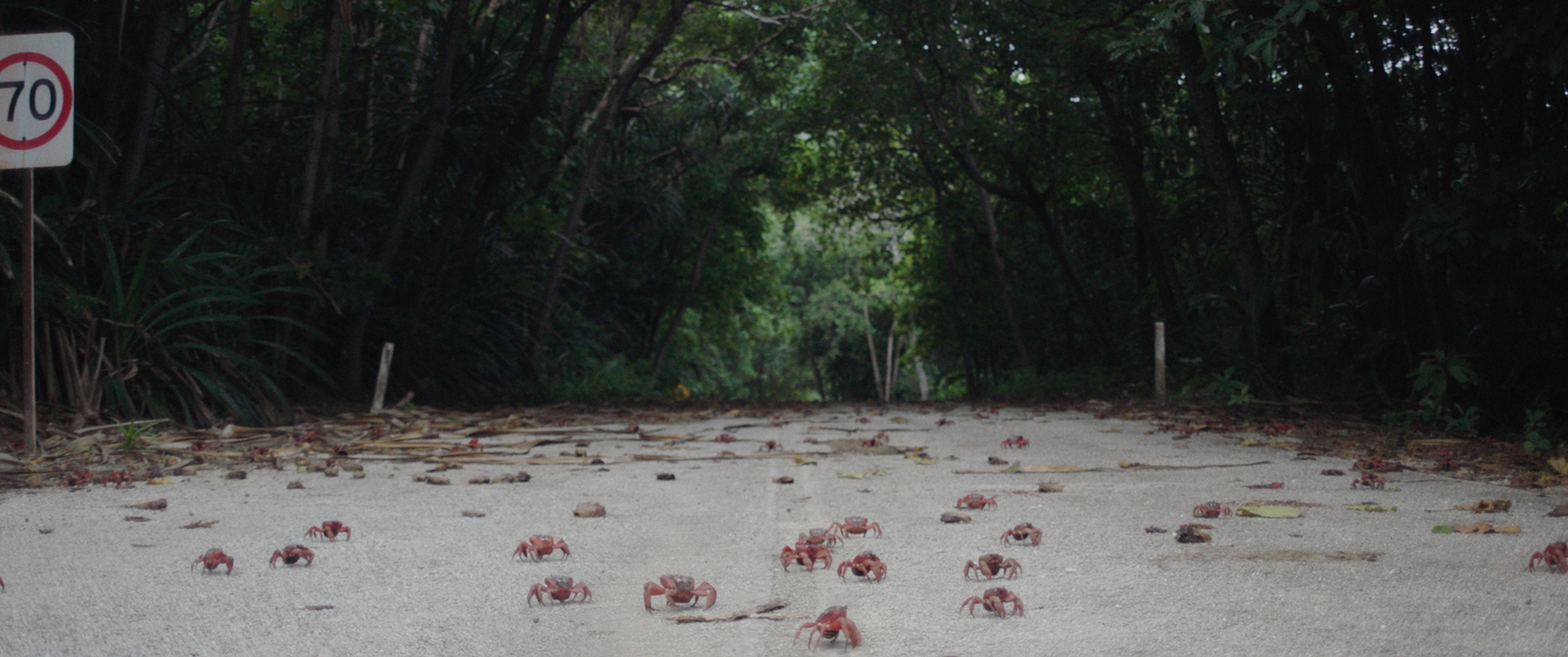 ISLAND OF THE HUNGRY GHOSTS